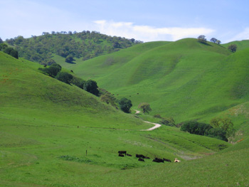 undeveloped hills in back of Antioch